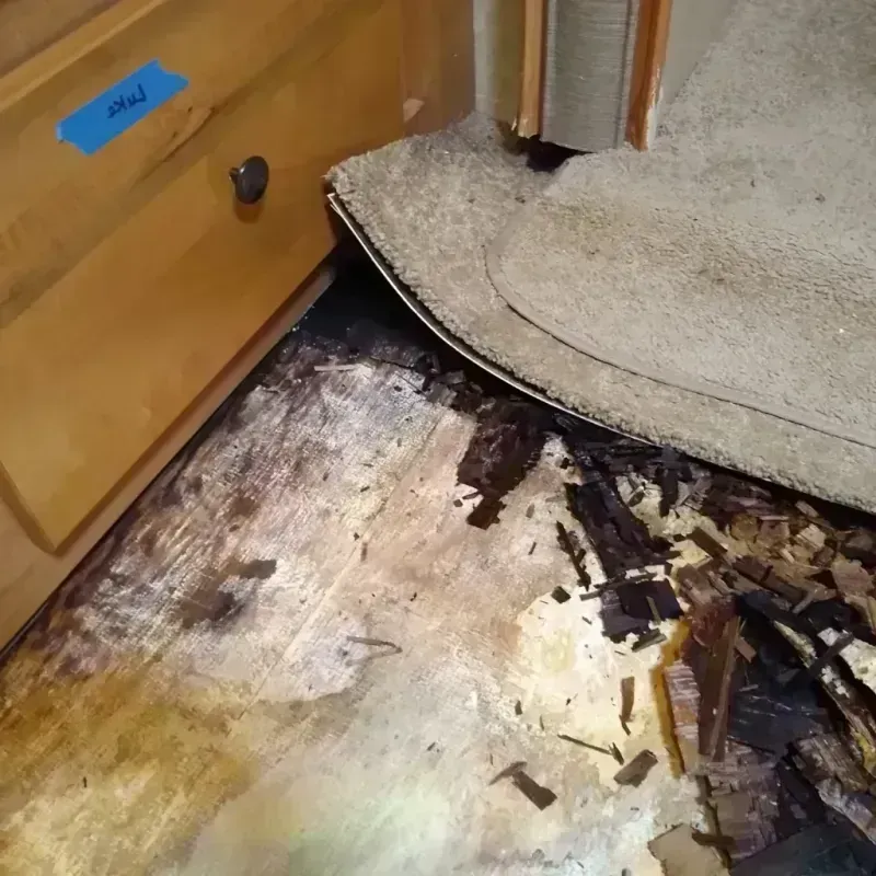 Wood Floor Water Damage in Brentwood, MD